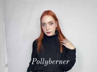 Pollyberner