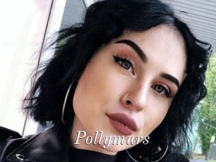 Pollymurs