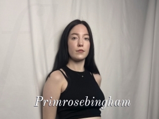 Primrosebingham