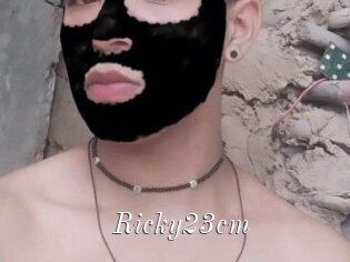 Ricky23cm