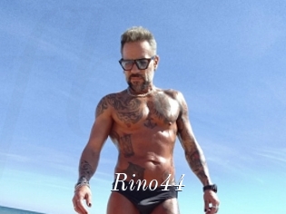 Rino44