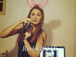 Rochu28210
