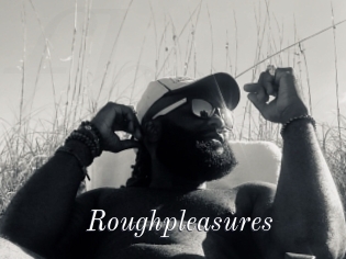 Roughpleasures