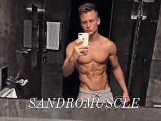 SANDRO_MUSCLE