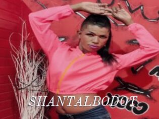 SHANTALBODOT