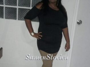 SamenStoeien
