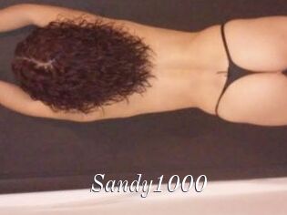 Sandy1000