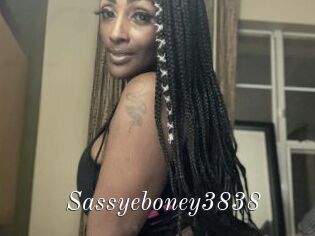 Sassyeboney3838