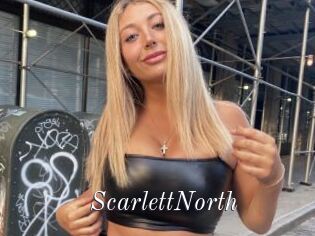 ScarlettNorth