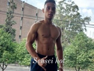 Sensei_hot