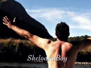 ShelodonBoy