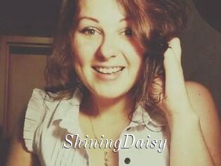 ShiningDaisy