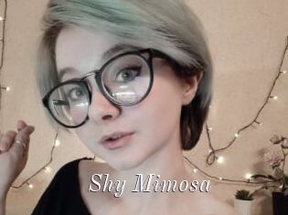 Shy_Mimosa