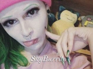 SkyBurrito