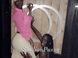 StallionPussy
