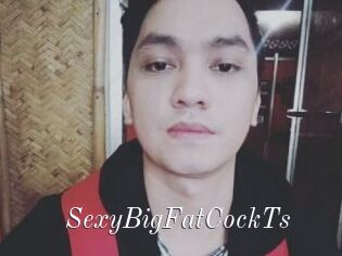 _SexyBigFatCockTs_