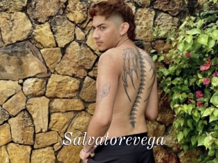 Salvatorevega