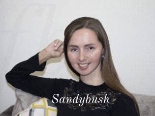 Sandybush
