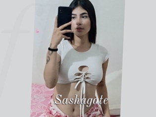 Sashagate