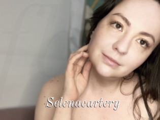 Selenacartery