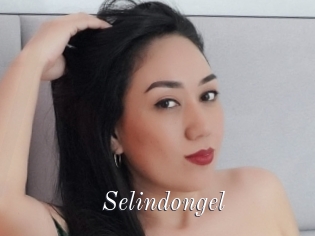 Selindongel