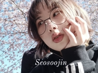Seosoojin