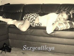 Sexycattleya