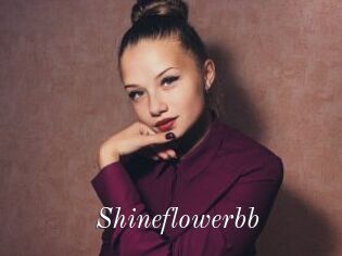 Shineflowerbb