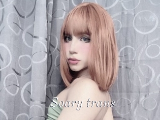 Soary_trans