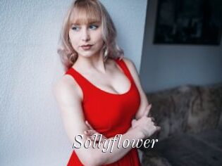 Sollyflower