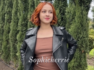 Sophicherrie