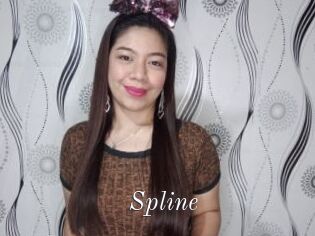 Spline
