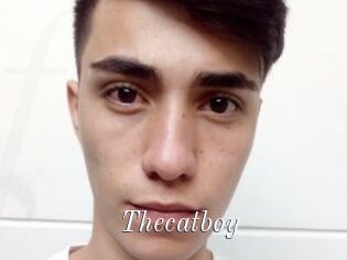 Thecatboy