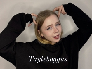 Tayteboggus