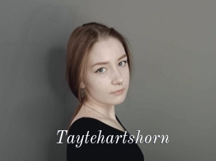 Taytehartshorn