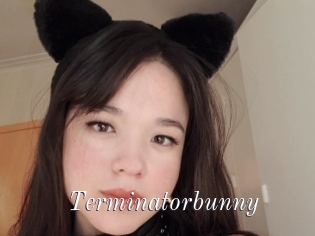 Terminatorbunny
