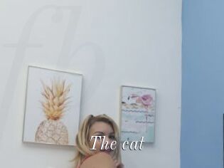 The_cat