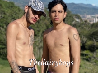 Thedairyboys