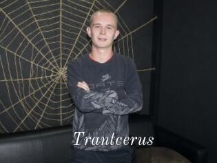 Trantcerus