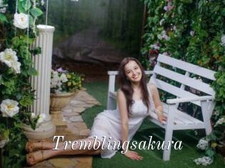Tremblingsakura