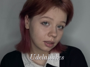 Udelahakes