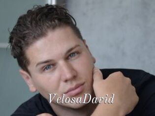 VelosaDavid