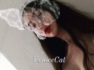 VeniceCat
