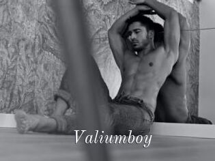 Valiumboy