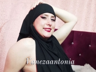Vanezaantonia