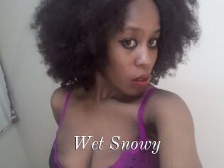 Wet_Snowy
