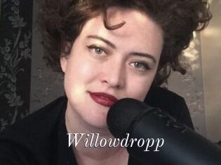 Willowdropp