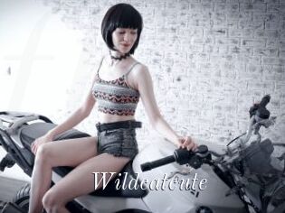 Wildcatcute