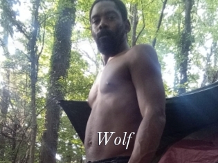 Wolf