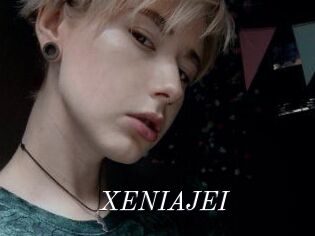 XENIA_JEI